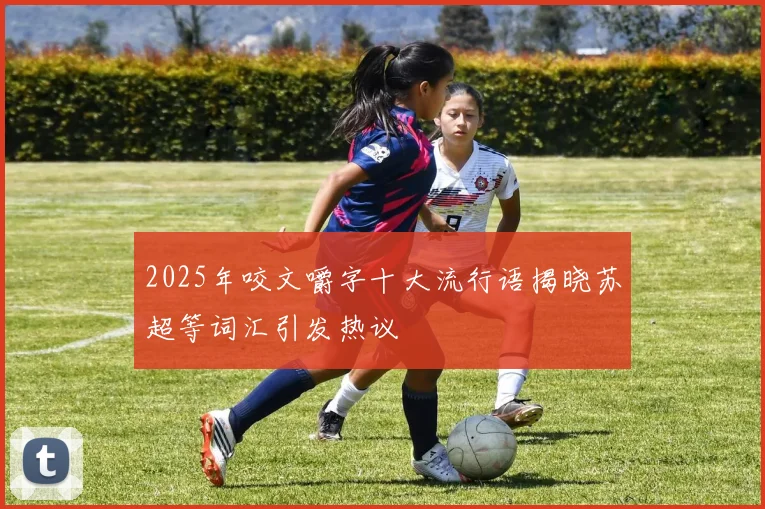 2025年咬文嚼字十大流行语揭晓苏超等词汇引发热议