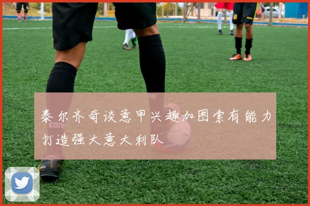 泰尔齐奇谈意甲兴趣加图索有能力打造强大意大利队