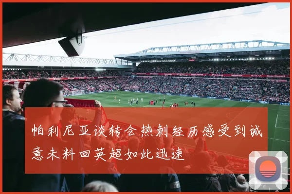 帕利尼亚谈转会热刺经历感受到诚意未料回英超如此迅速